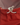 Close-up of adjustable hood drawcord and toggle detail.
