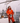 Women in an orange waterproof sailing jacket on a boat in rough weather