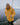 Consort RWR Jacket - Washed Yellow