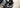 What to Wear Sailing: Complete Guide to Sailing Clothing & Gear
