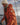 Portland Insulated Jacket - Portland Red