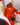 Women's Elite Jacket - Power Orange